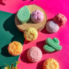 Fondant Francisco Printemps