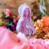 Santa Guadalupe violet