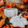 Mug D'automne Potiron