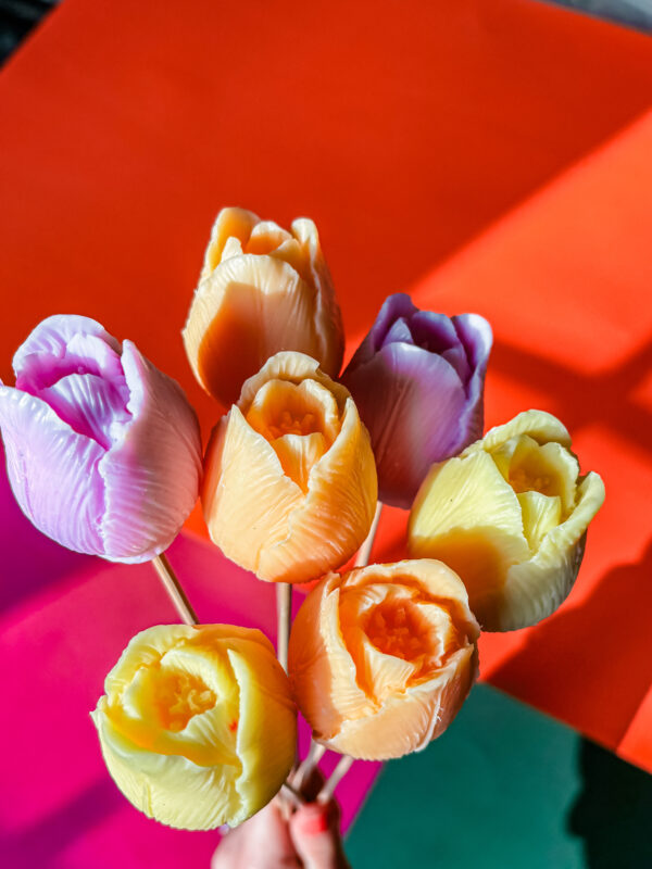 tulipe bougie en cire